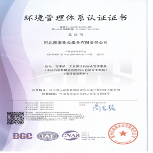 證書5