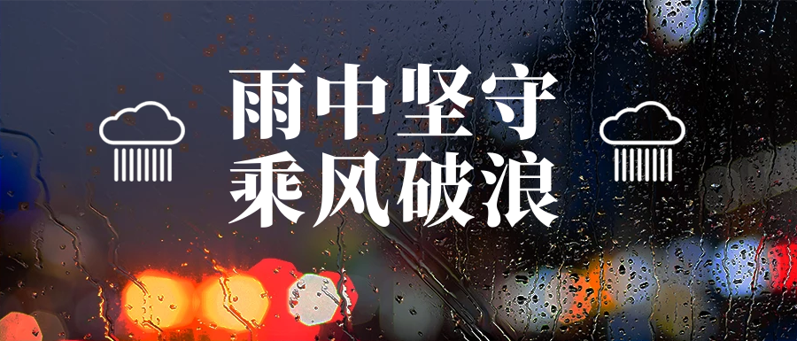 雨中堅守護家園，筑牢汛期安全墻(圖8)