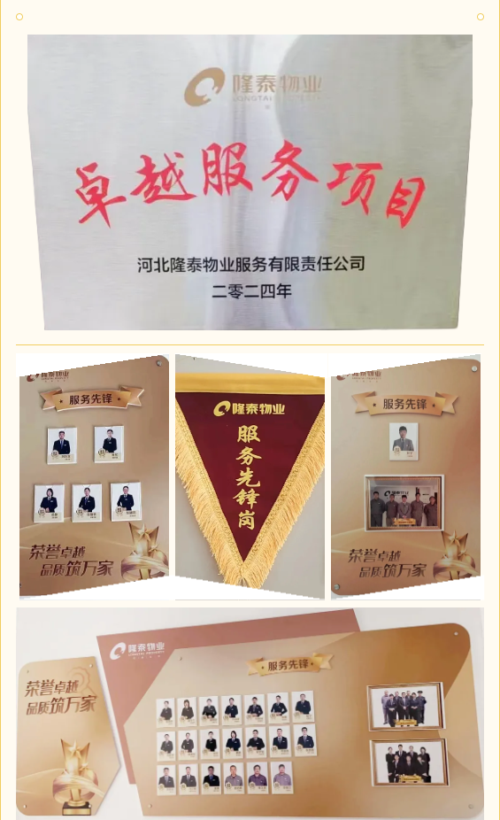隆泰物業(yè) | 凝聚先鋒力量，彰顯責(zé)任擔(dān)當(圖5)